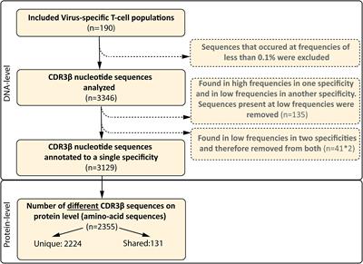 Public T-Cell Receptors (TCRs) Revisited by Analysis of the Magnitude of Identical and Highly-Similar TCRs in Virus-Specific T-Cell Repertoires of Healthy Individuals